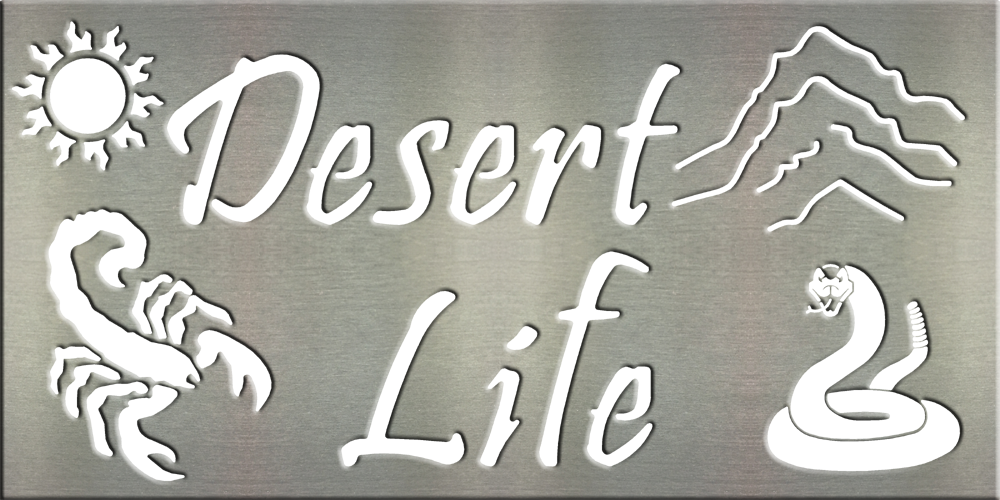 MS202-00033-0816 [Desert Life]